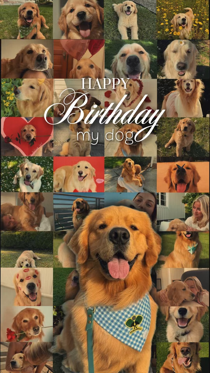 Alles Gute zum Geburtstag Hund