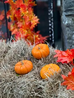 Autumn