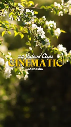 24 Videos Clips