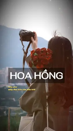 Hoa hồng