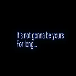 Free schlep... ‼️