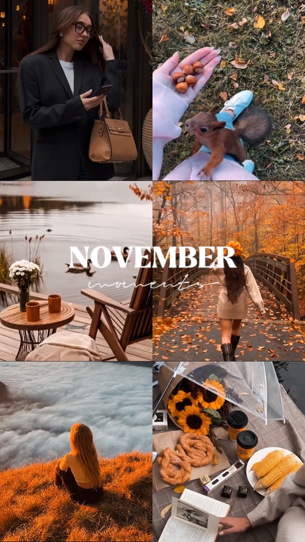 Momentos de novembro