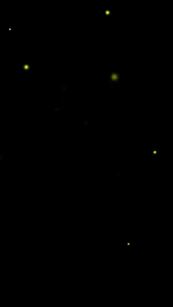 feel ကြမယ်