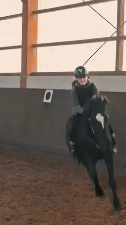 Slowmo equestrian 