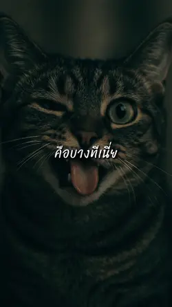 #บางทีเนี่ยมันมีคำว่าพลาด 