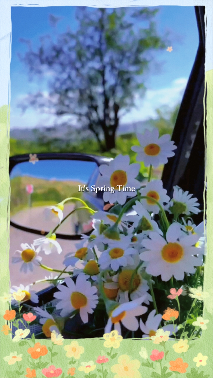 Cover Picture