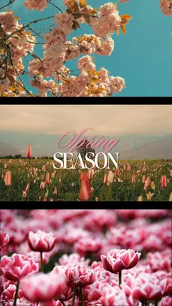 Spring season