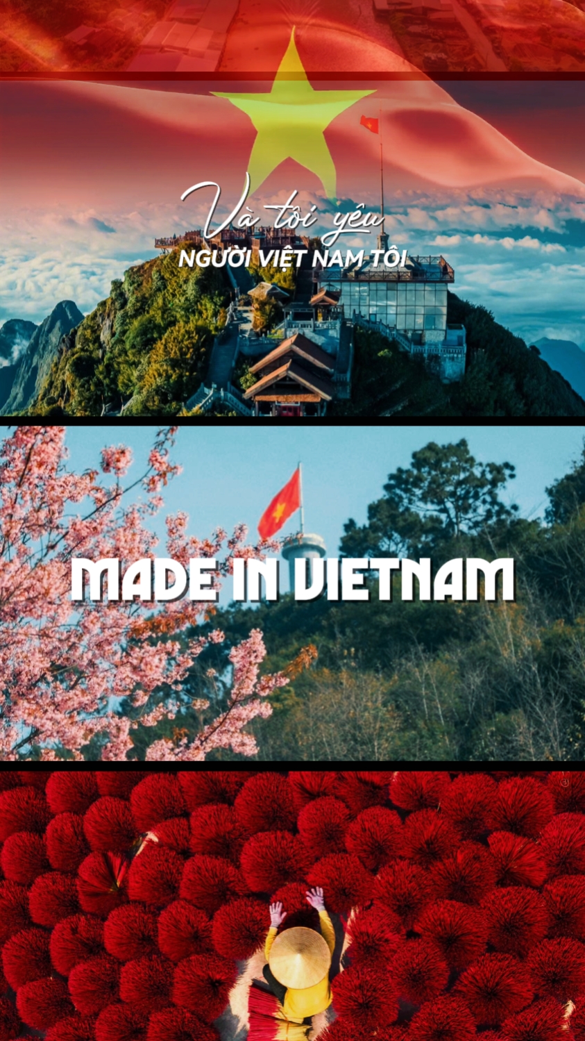 Made in Vietnam