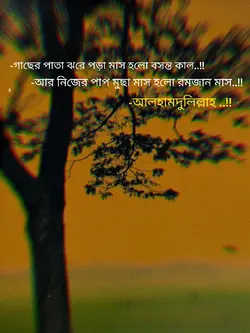 রমজান আলাদা মাস 