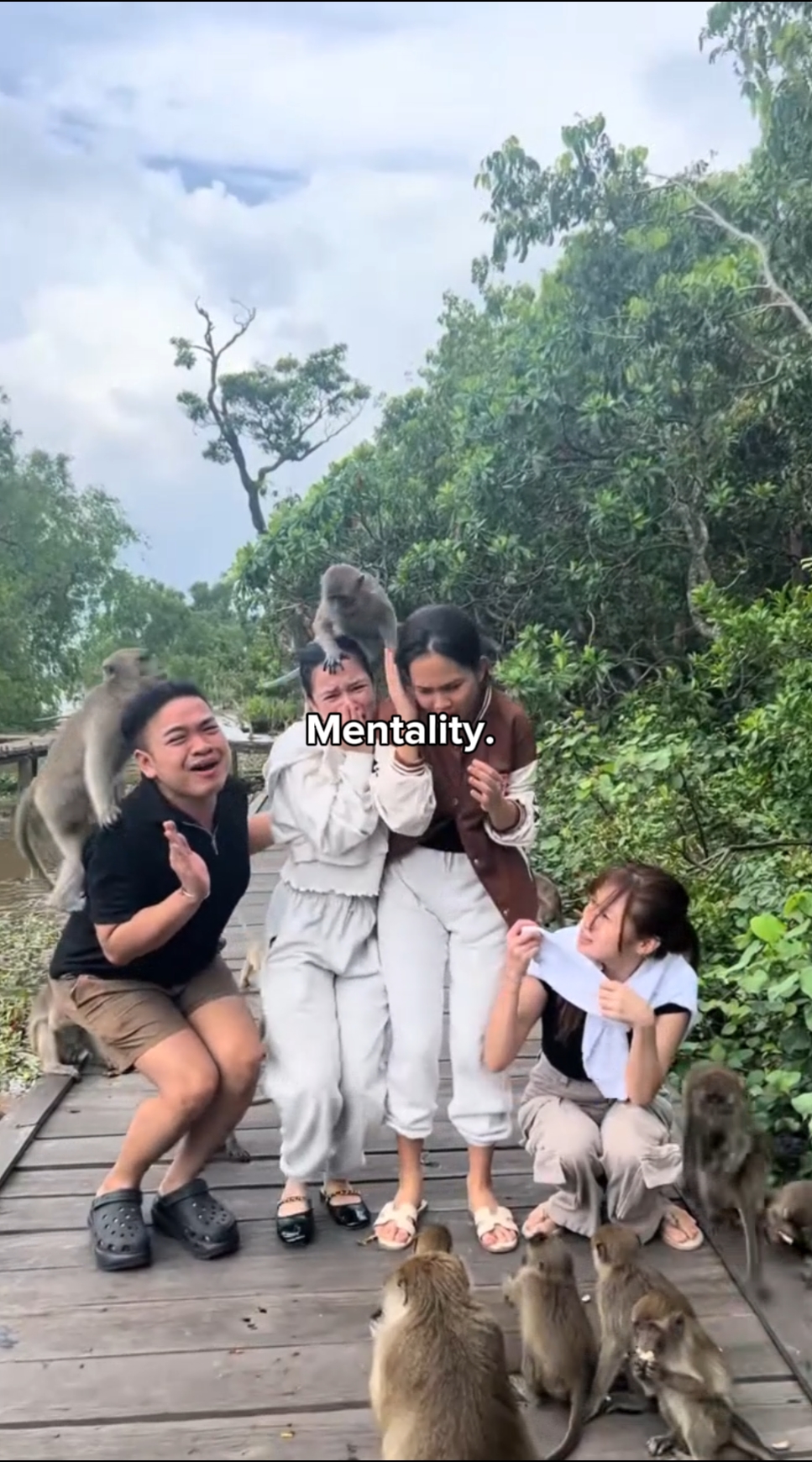 Núcleo de mentalidad 5
