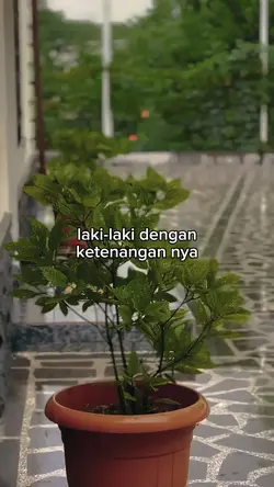 bahan sw