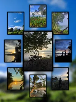 9Pic Trend