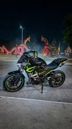 NAGA NIGHT