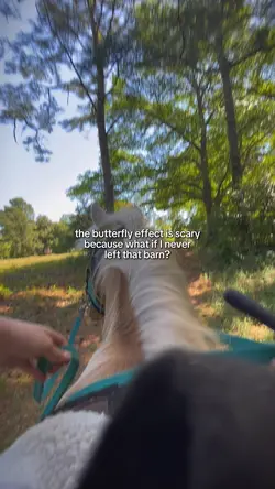 butterfly effect