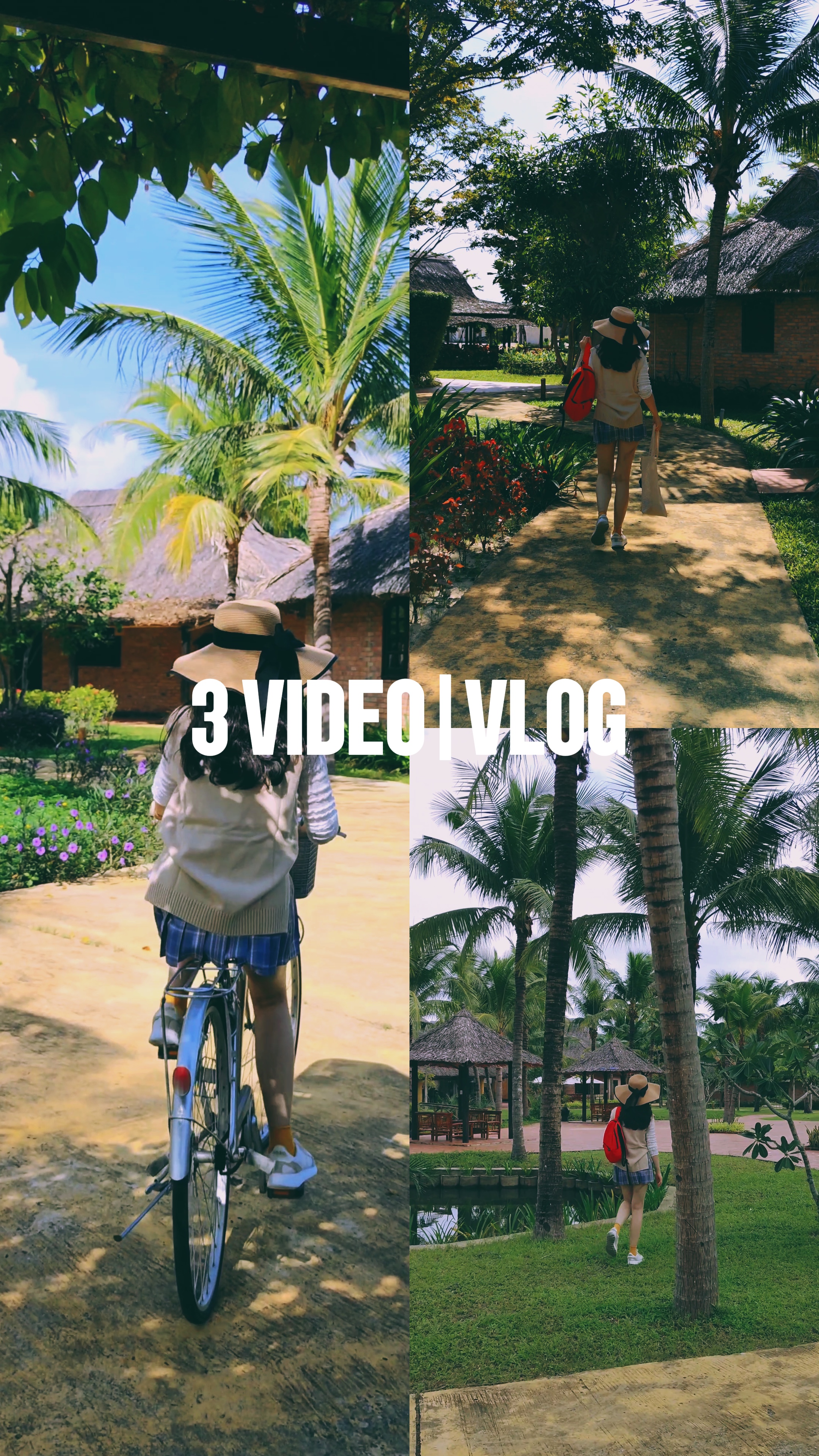 3 VIDEO | VLOG