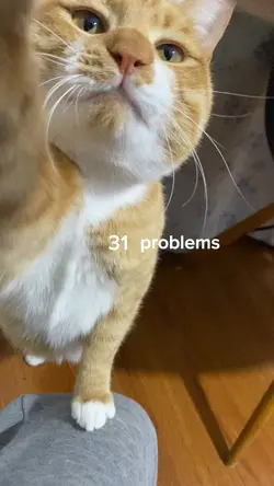 100 problems 