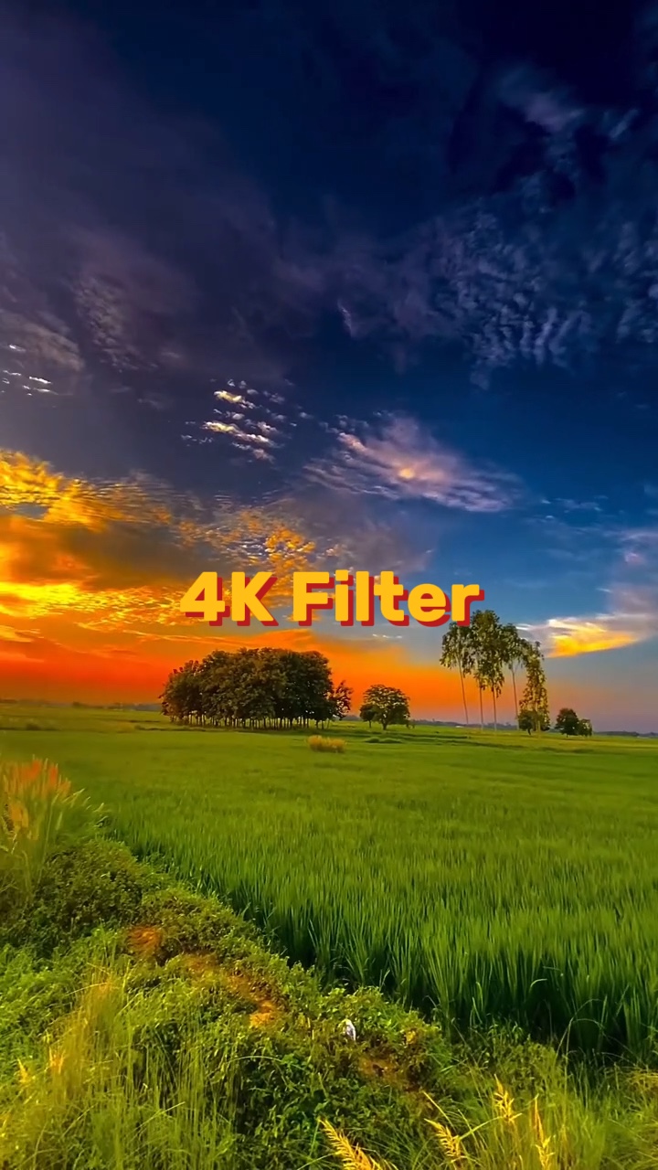 4k 필터