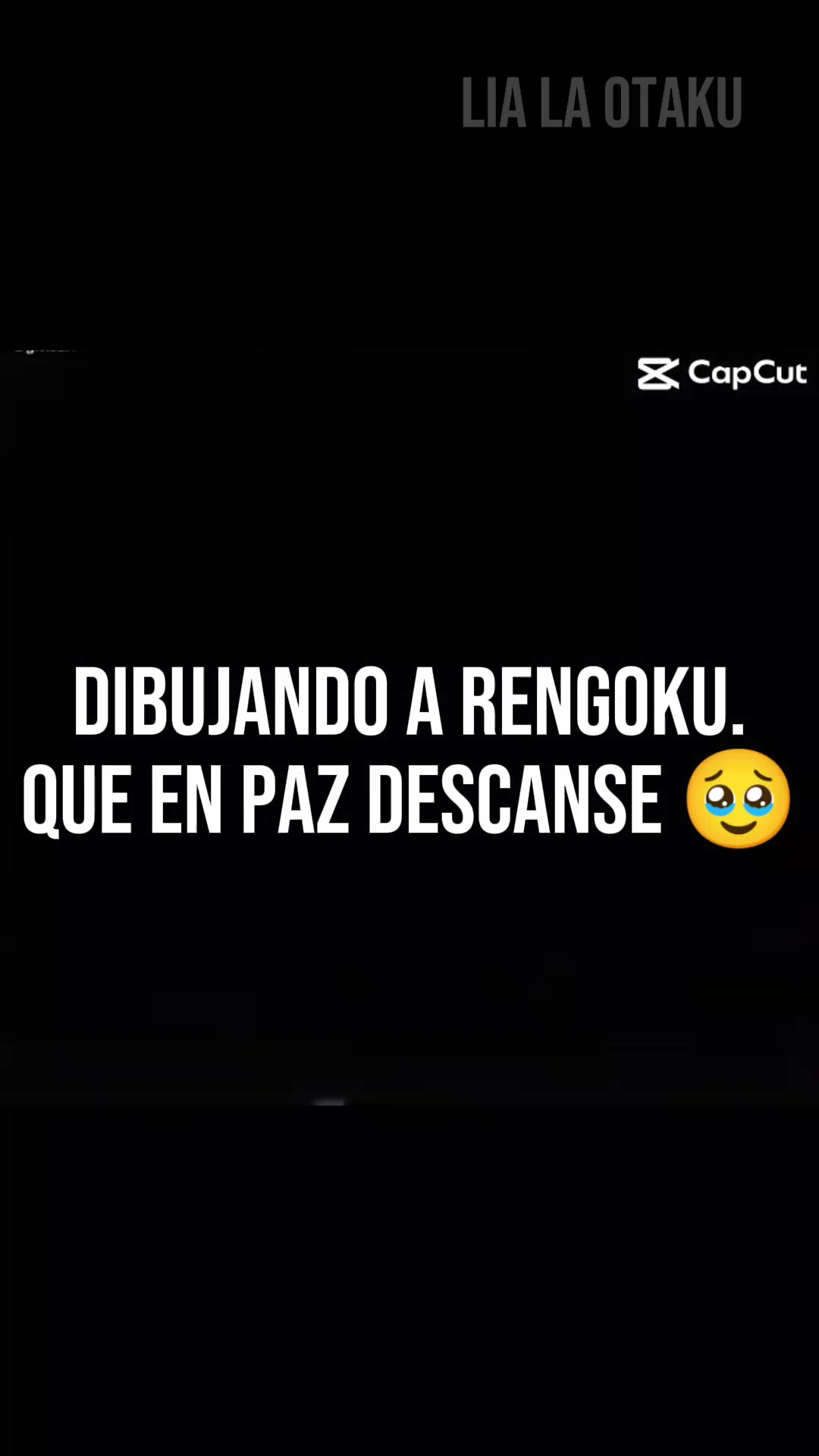 No dibujo tan bien 