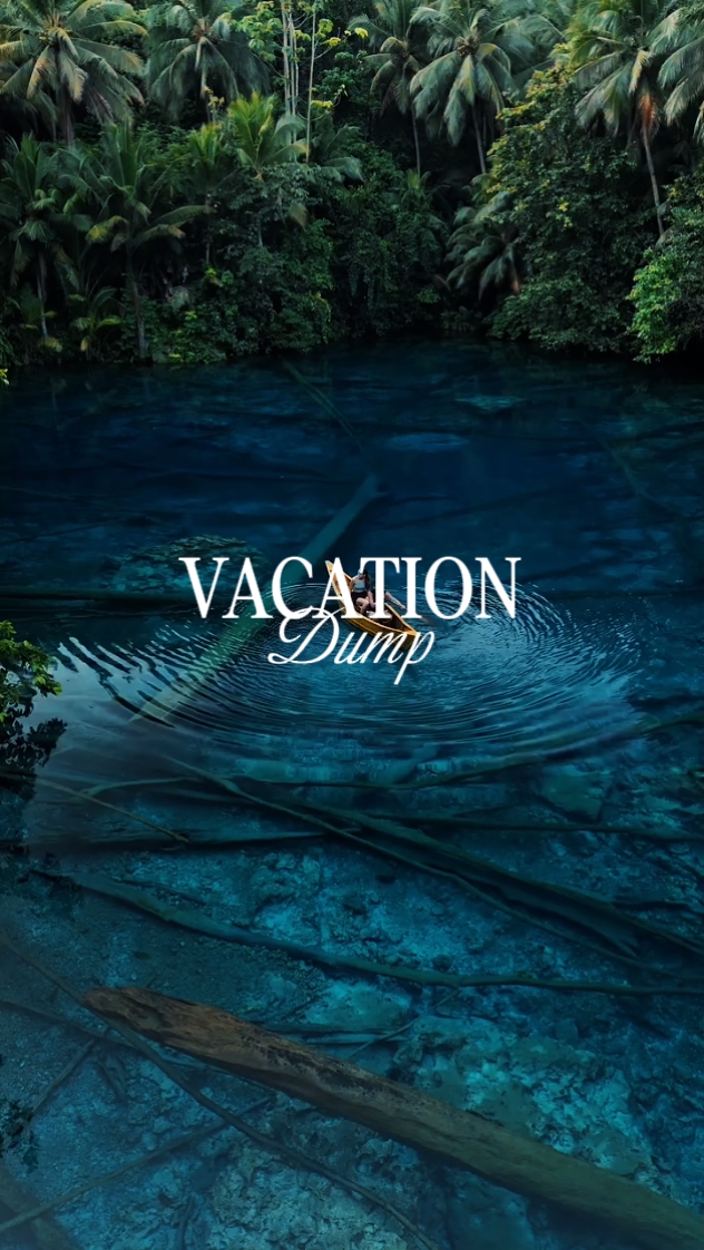 Vacation dump