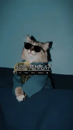 dj narwhal serem