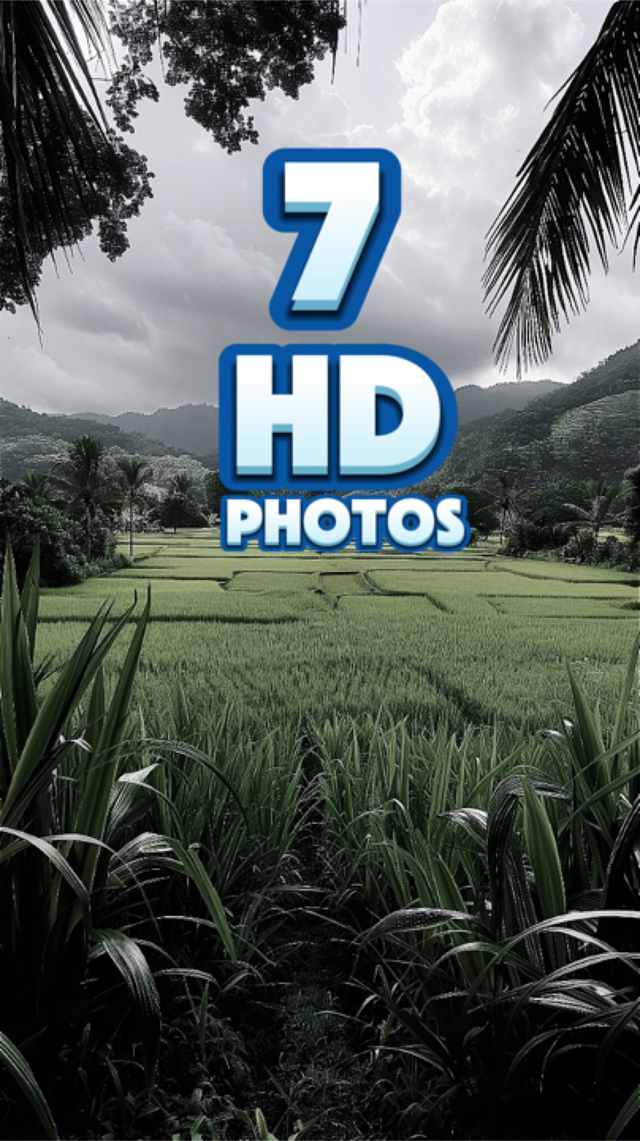 7 hd fotoğraf 