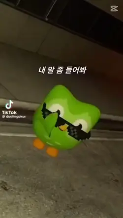 듀오링고 사진을 놓어 보세요!
