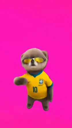 Brazil.