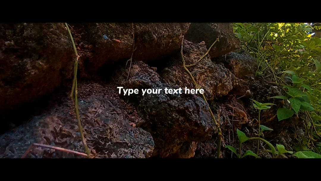 type your text
