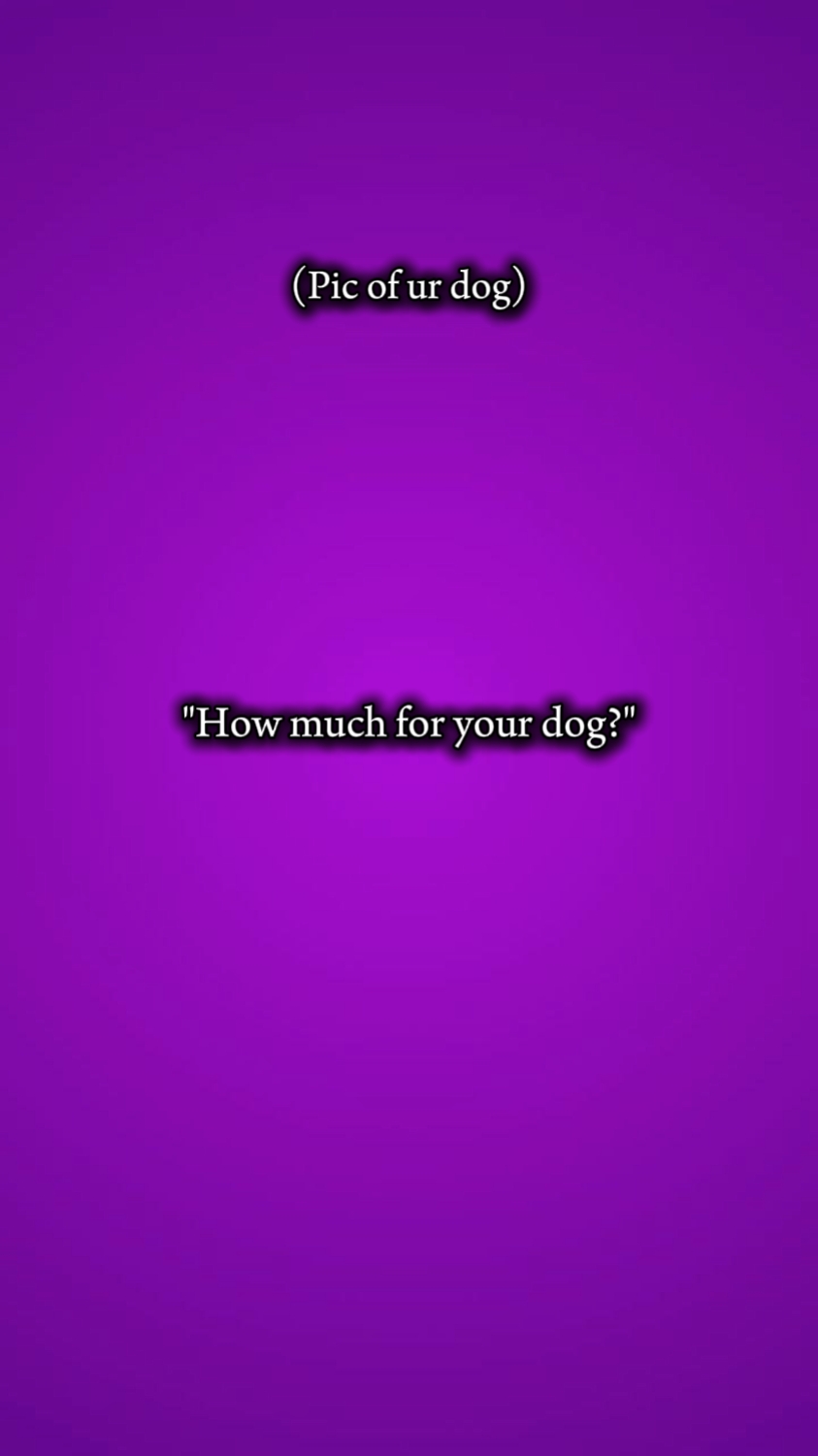 Perro