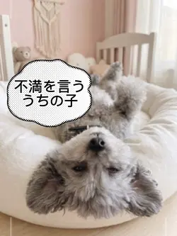 不満を言ううちの子