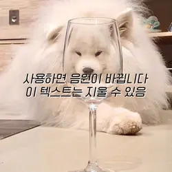 사용해 봐요