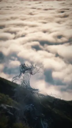 PORTRAIT VERSION 