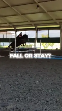 QUIZ! fall or stay? 