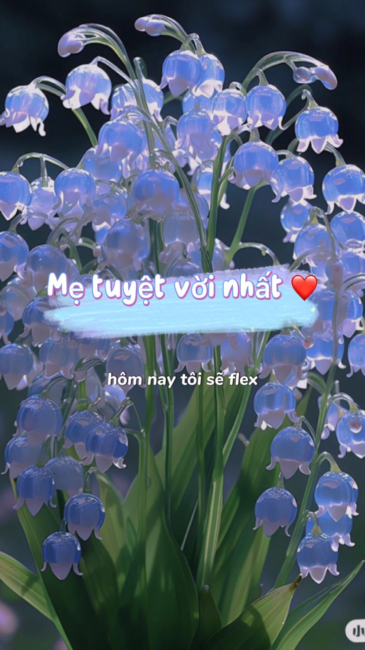Mff tuyѕt vѕi nhѕt 💯