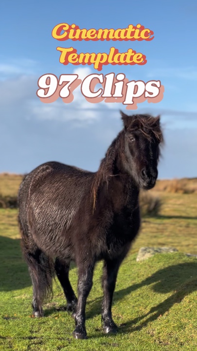 97 Clip Template ✨