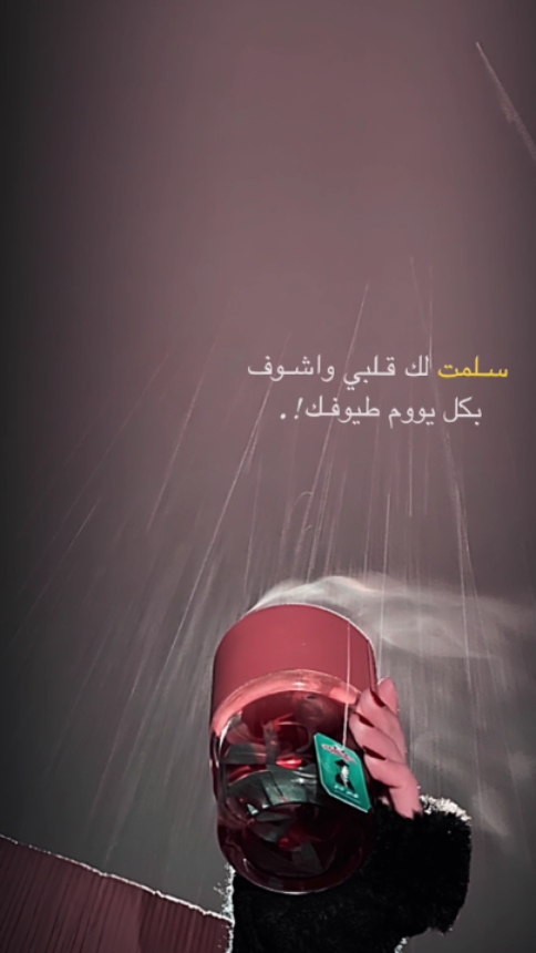 سلمت لك قلبي