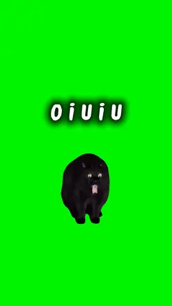 O U O U E O