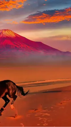 Livewallpaper 