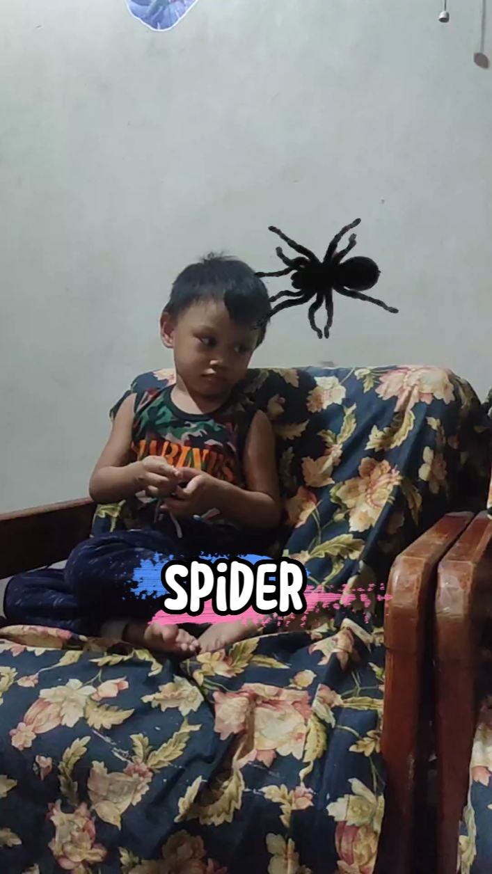 Spinne