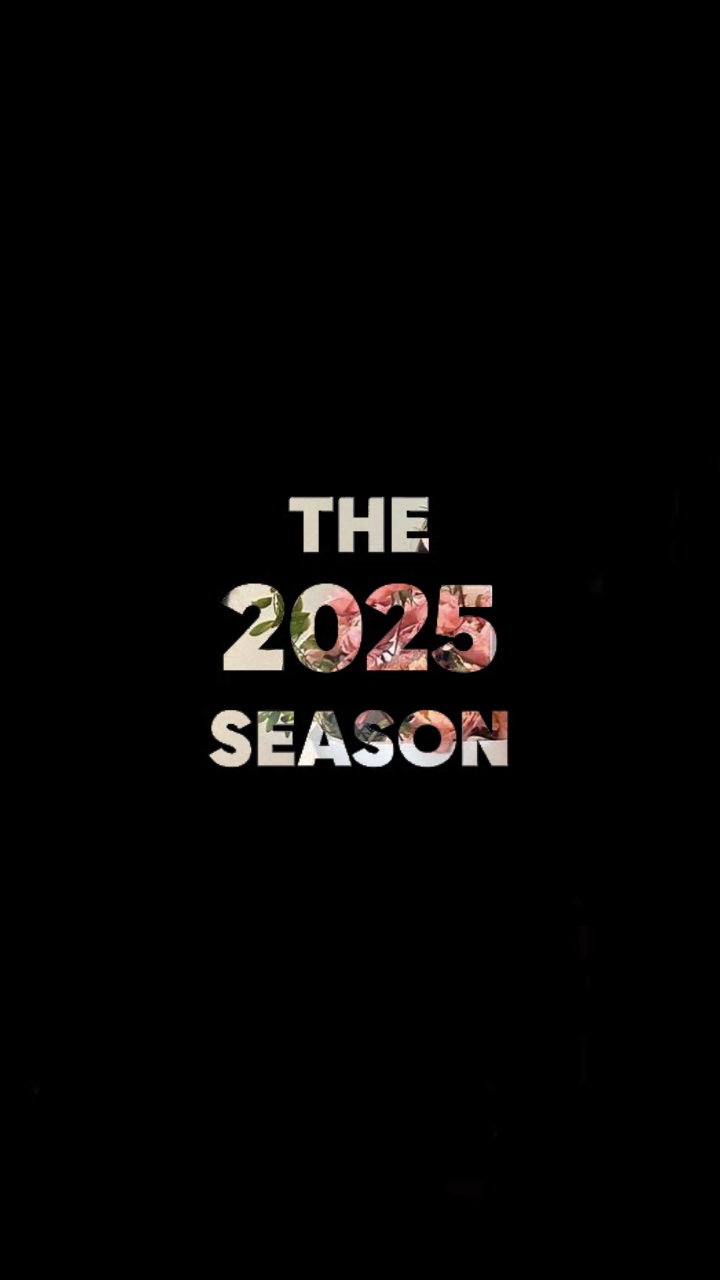 La temporada 2025
