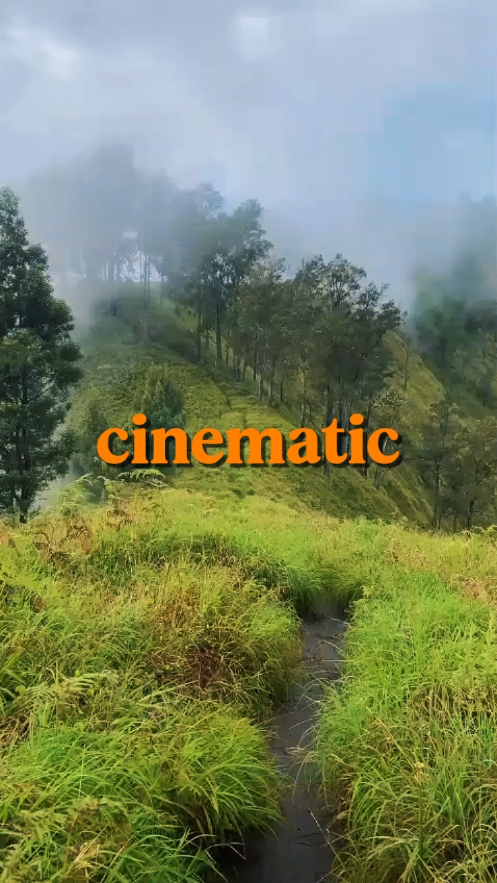 CINEMATIC