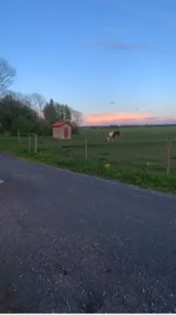 Du är bäst