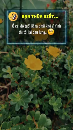 CAPTION TÂM TRẠNG