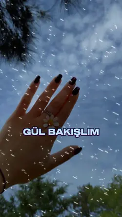 Şablonun Güzelliği 