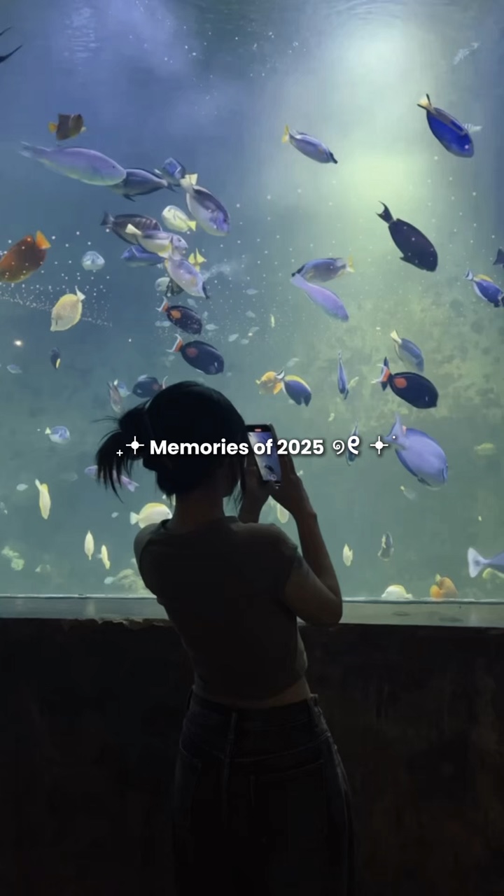 Lembranças de 2025