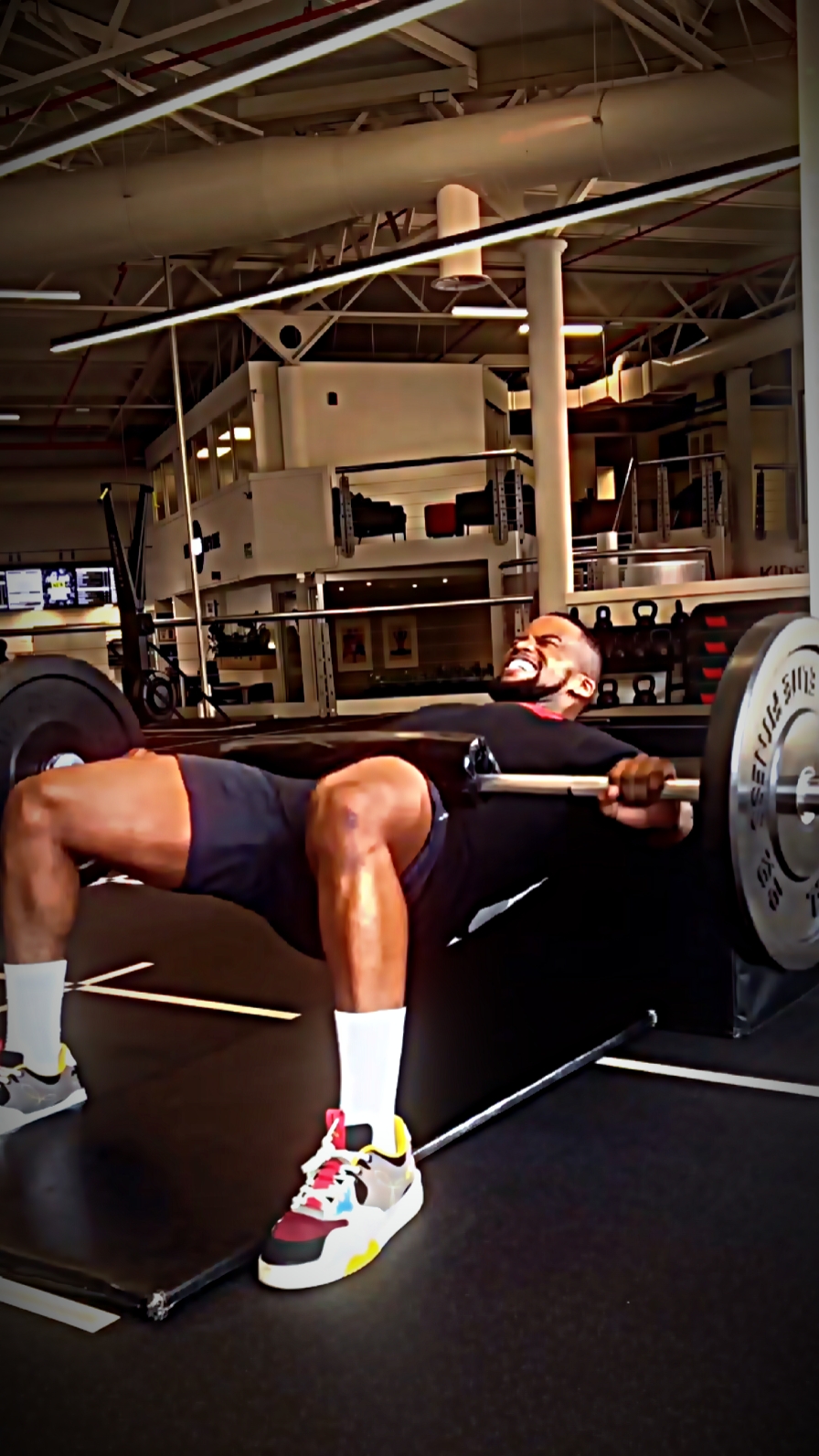 Gym Fitness