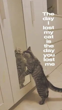 …