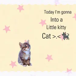 Moka cat