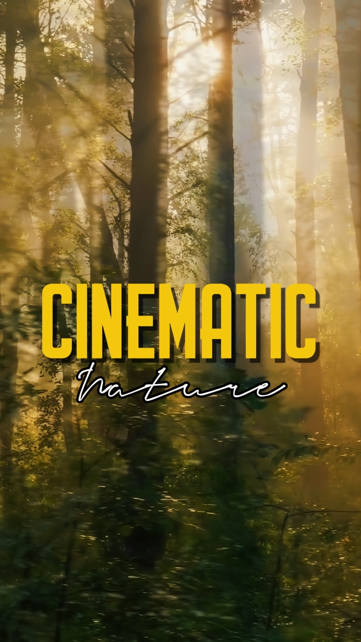 CINEMATIC NATURE 