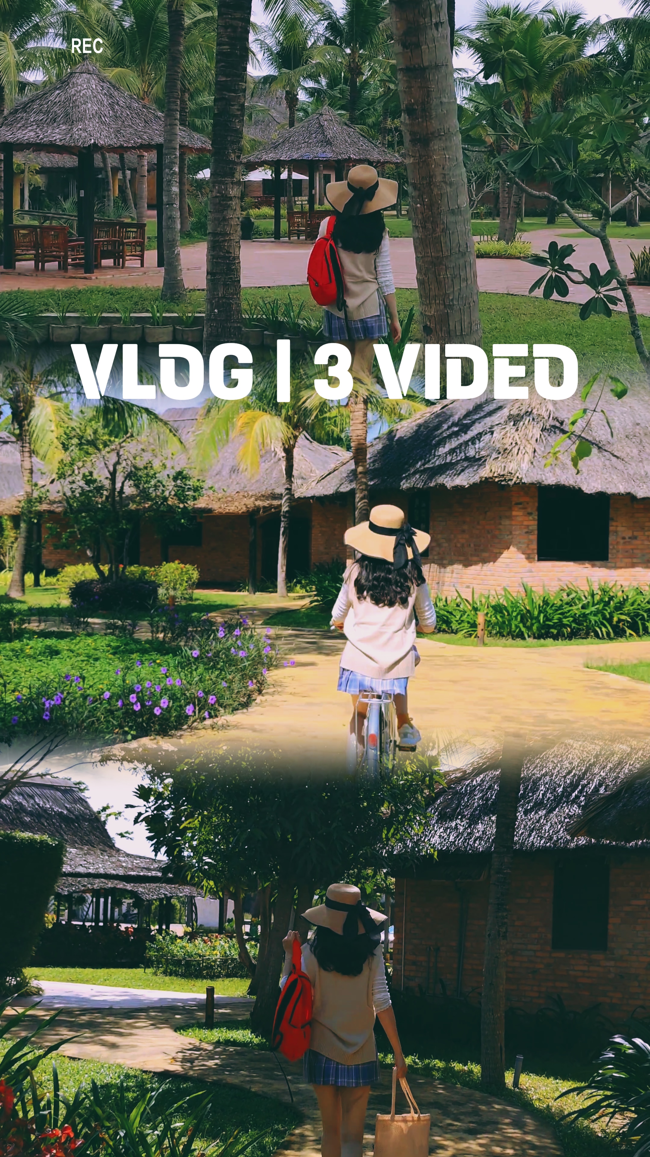 VLOG | 3 VIDEO